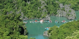 Cong Dam Area
