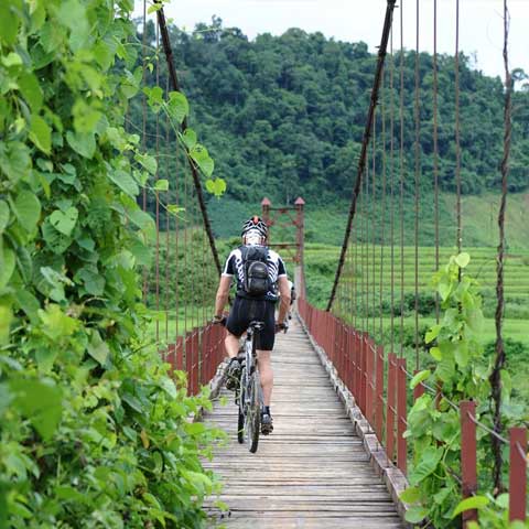 By bike