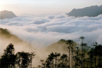 Conquer Fansipan - the Roof of Indochina