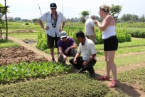 Family holiday in Hoi An